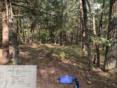 Renee's Sit Spot with Journal Sketch