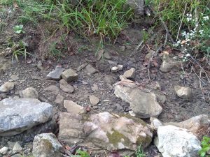 The dried up ground which can also be seen from the sit-spot picture above.