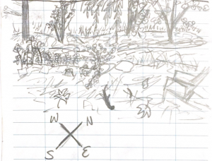 My notebook sketch of my sit spot, with the cardinal directions marked.