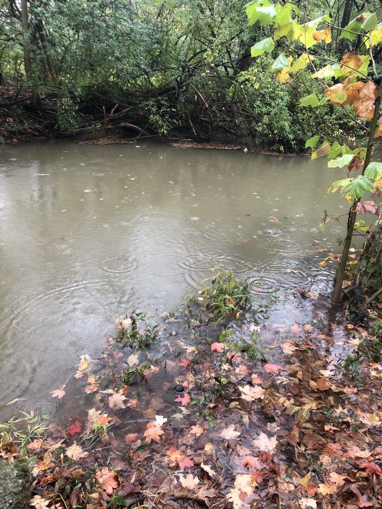 Creek Facing East