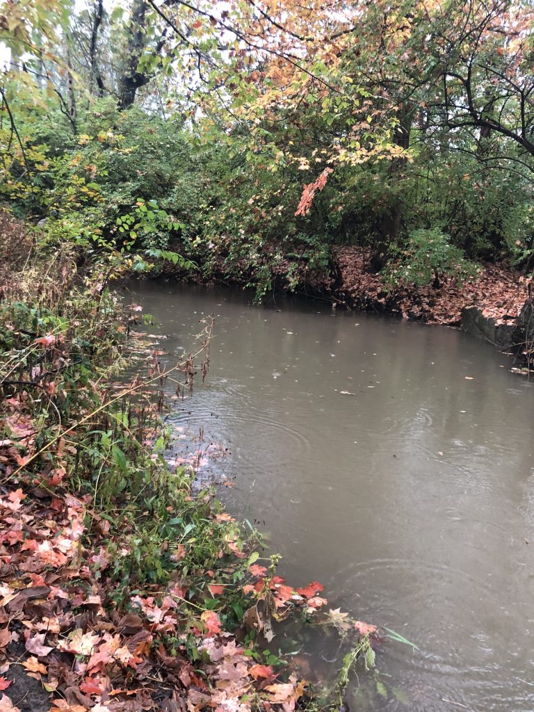 Creek Facing North